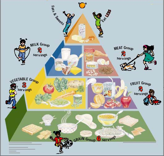 Healthy Lifestyle Pyramid