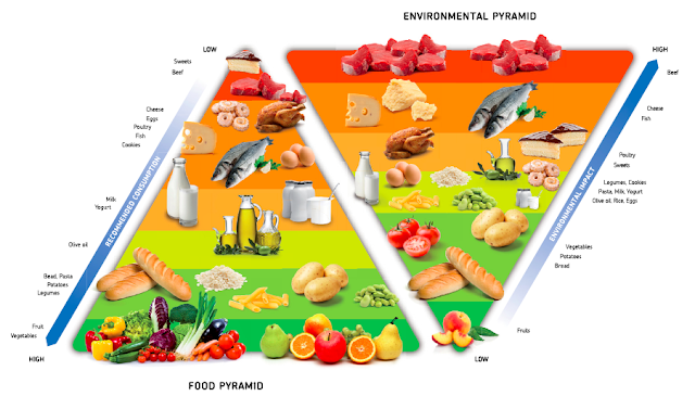 Healthy Living Pyramid 2012