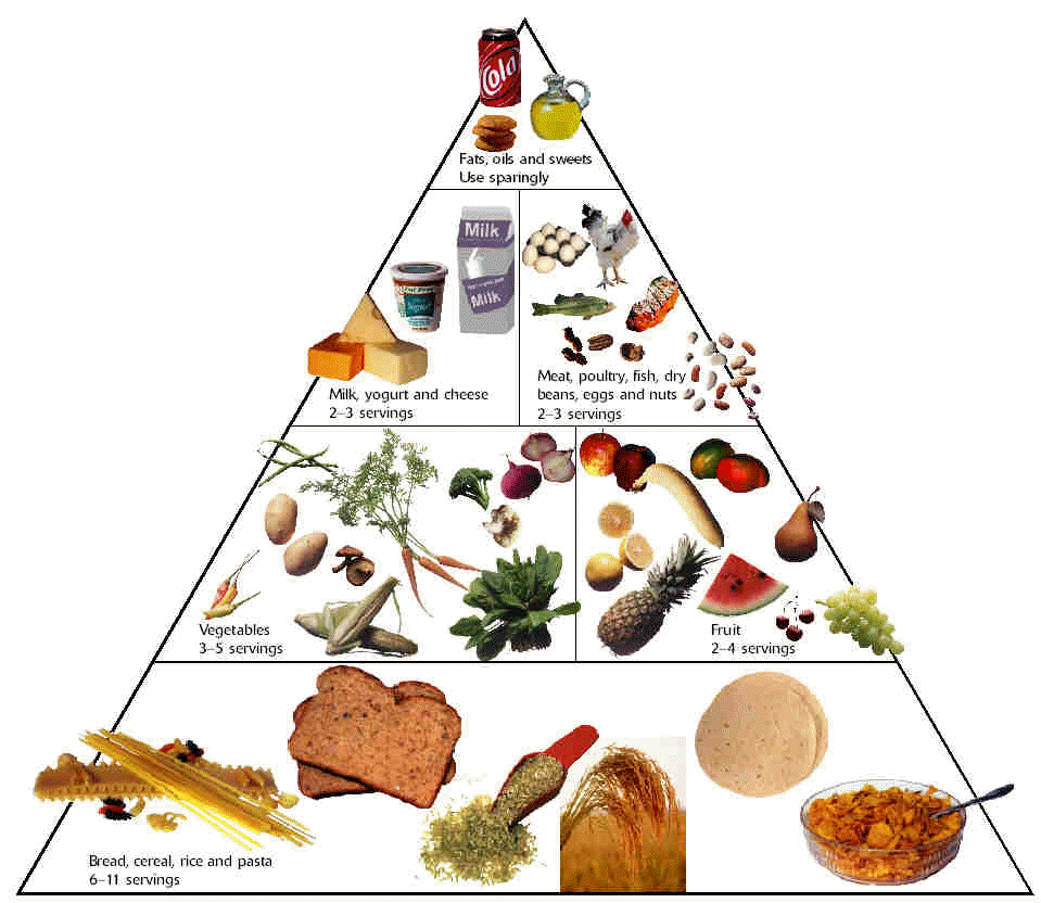 Healthy Living Pyramid