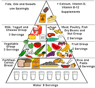 Healthy Living Pyramid