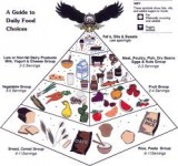 Healthy Living Pyramid Australia