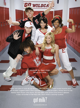 High School Musical 2 Cast Everyday