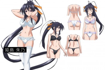 Highschool Dxd Akeno Himejima