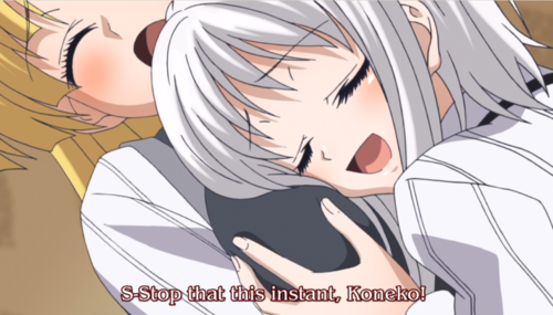 Highschool Dxd Koneko Toujou