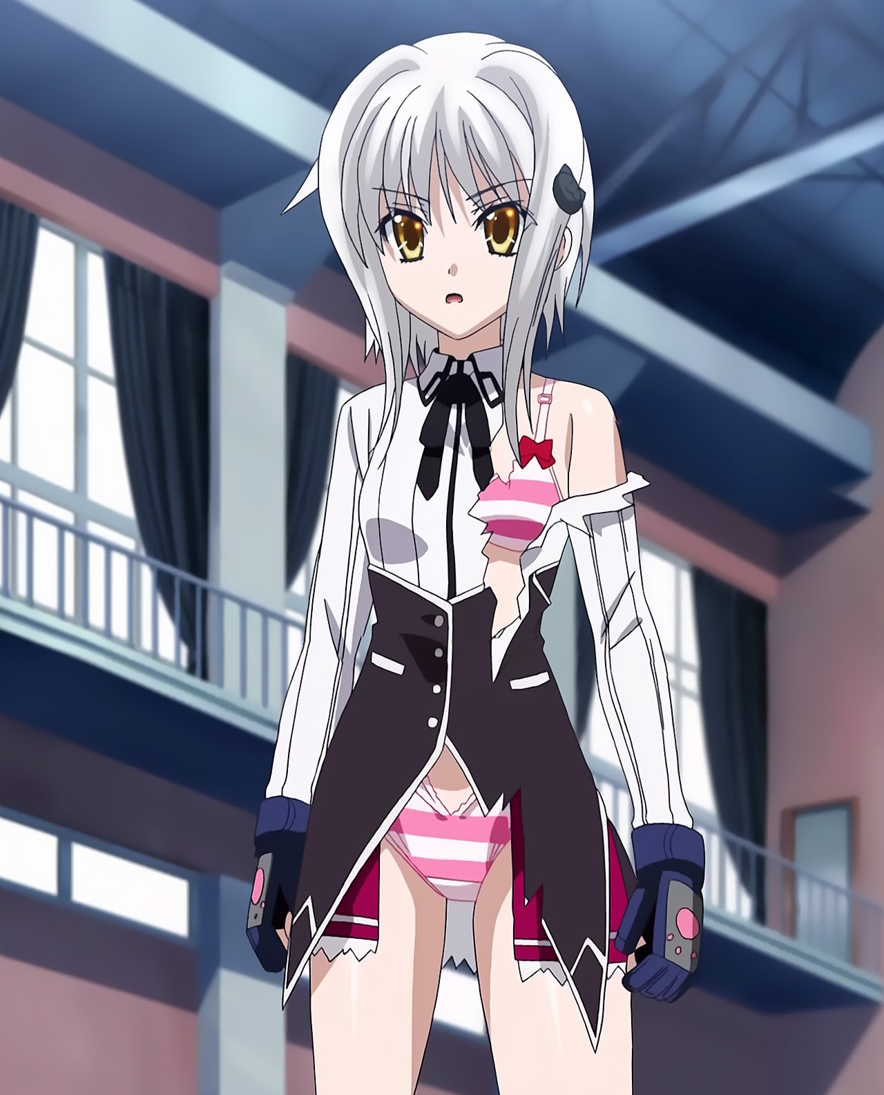 Highschool Dxd Koneko Toujou