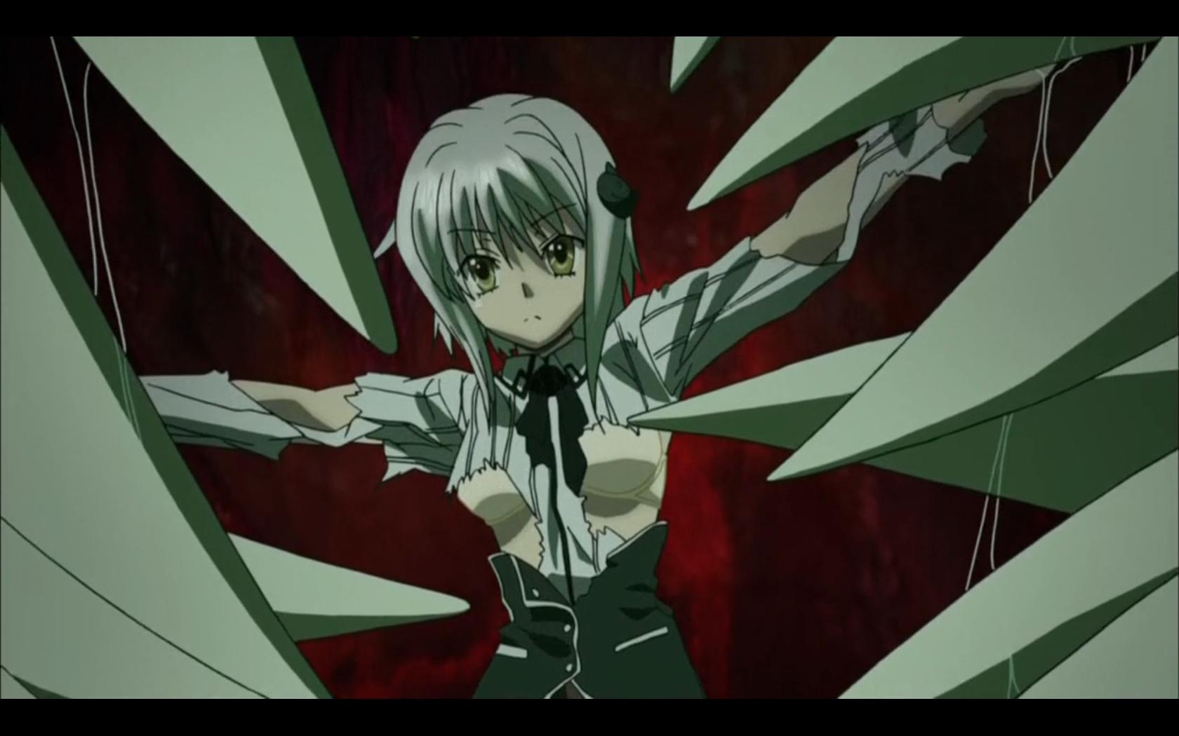 Highschool Dxd Koneko Toujou