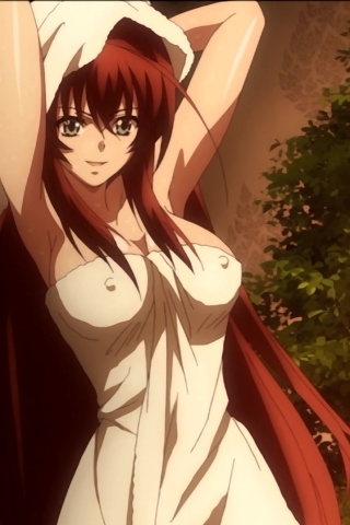 Highschool Dxd Rias Gremory