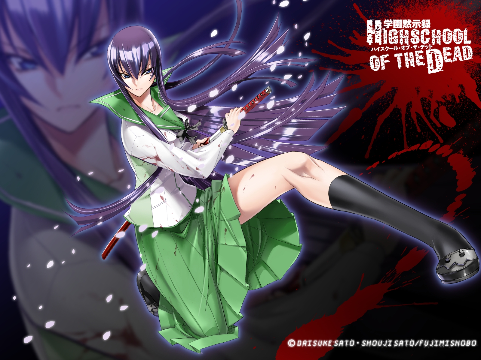 Highschool Of The Dead 24