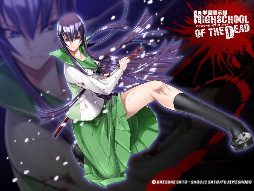 Highschool Of The Dead Saeko