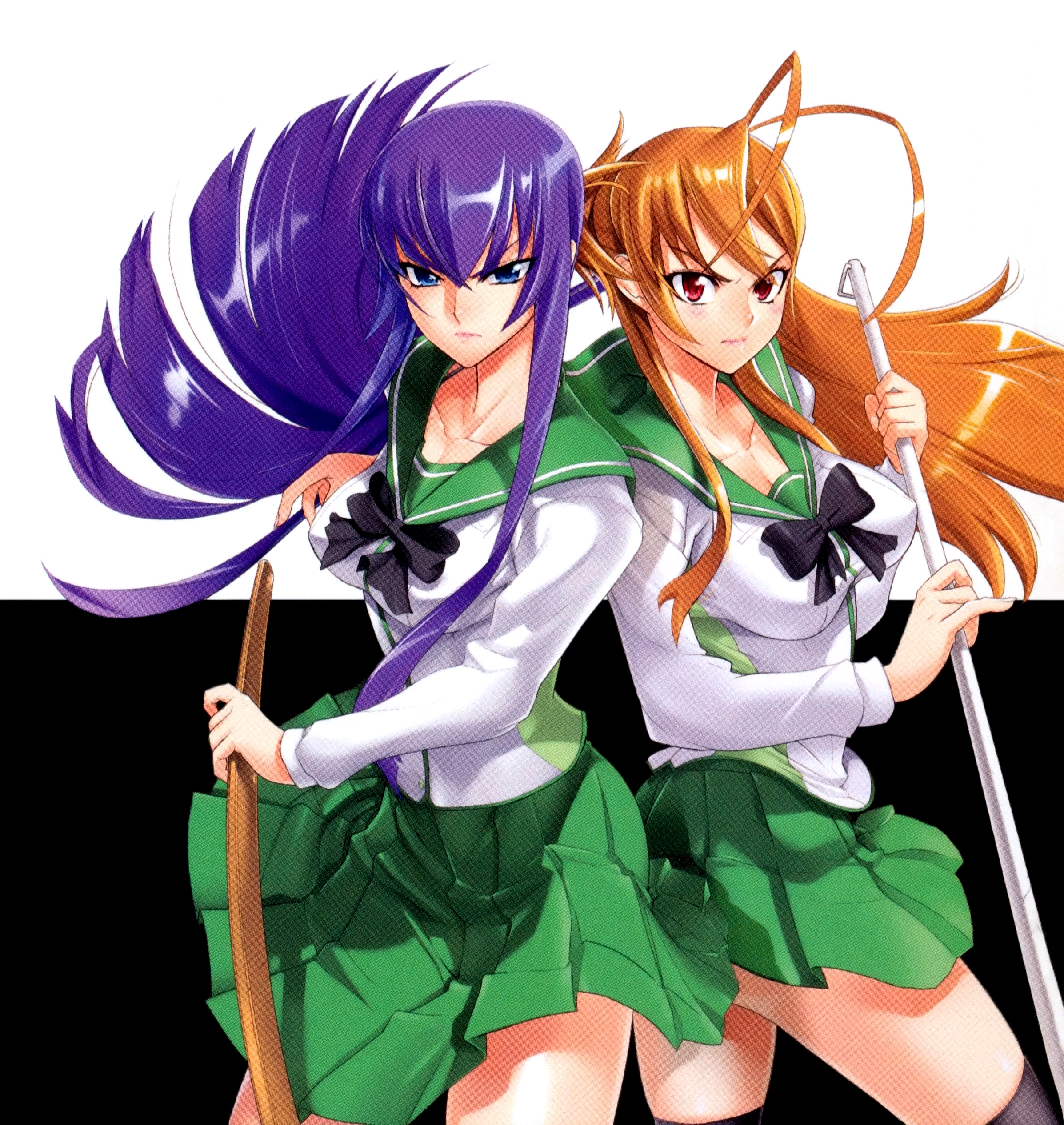 Highschool Of The Dead Saeko And Rei