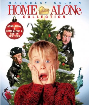 Home Alone 4 Poster