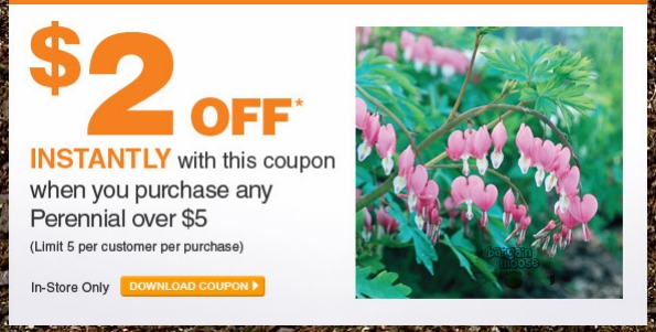 Home Depot Canada Promo Code