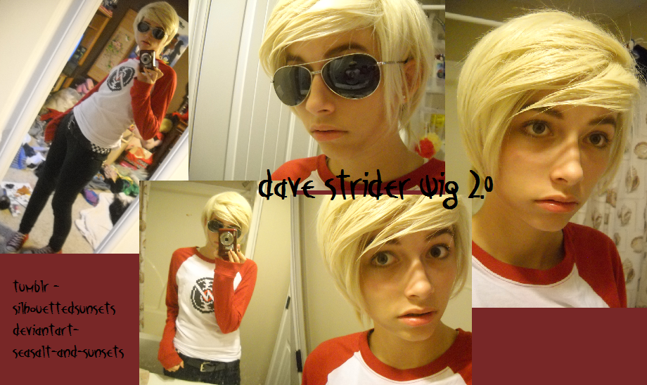 Homestuck Dave Strider Wig