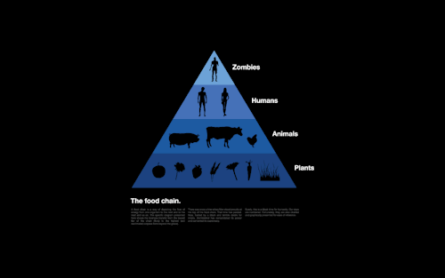 Human Food Chain Pyramid