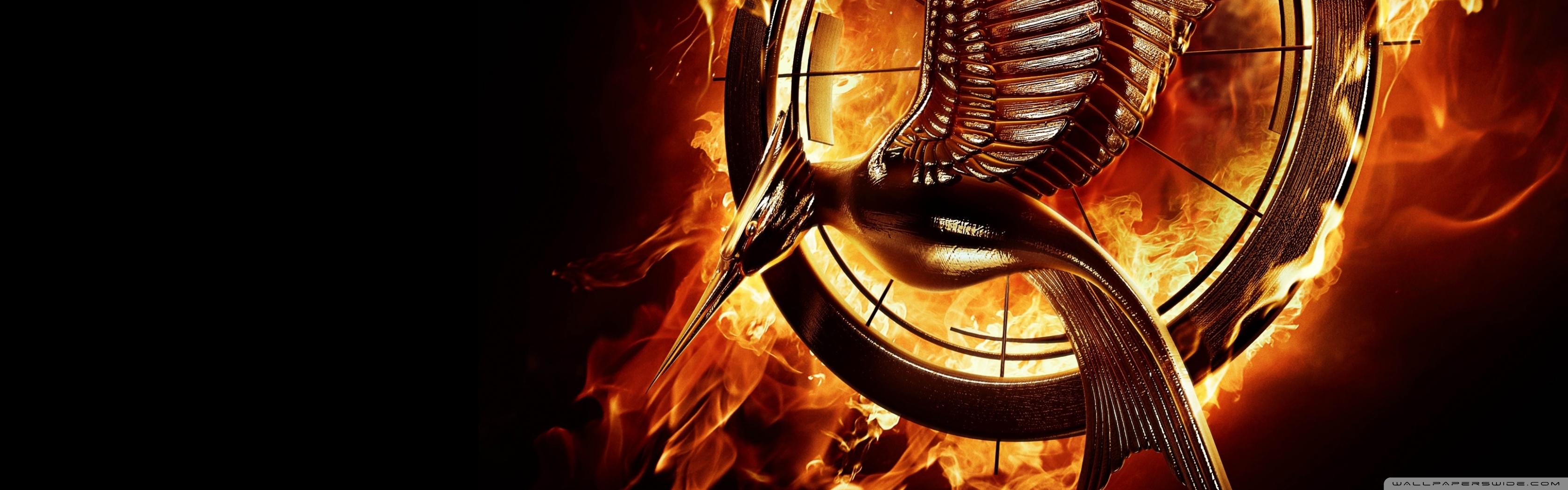 Hunger Games Catching Fire Wallpaper