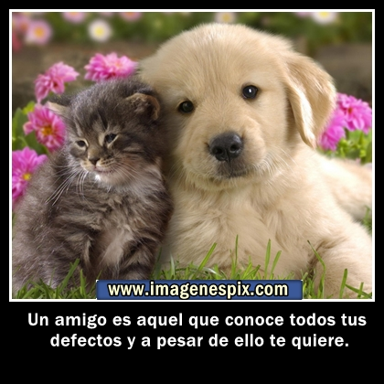 Imagenes De Amistad Con Frases Para Facebook