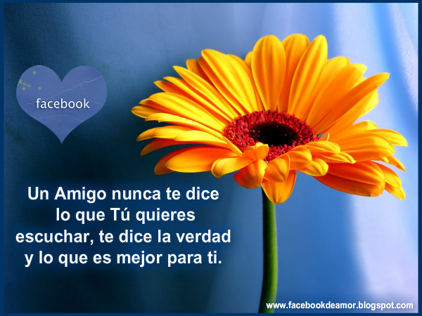 Imagenes De Amistad Con Frases Para Facebook