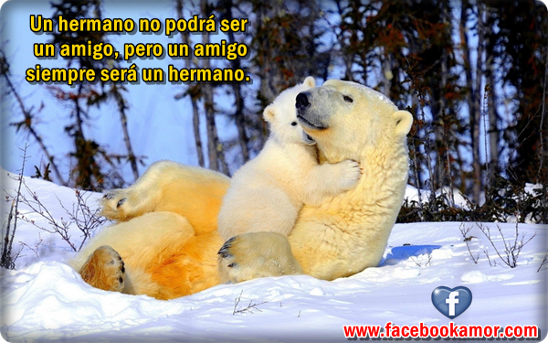 Imagenes De Amistad Para Facebook Gratis