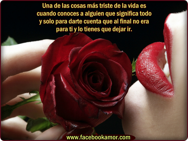 Imagenes De Amor Con Movimiento Para Facebook