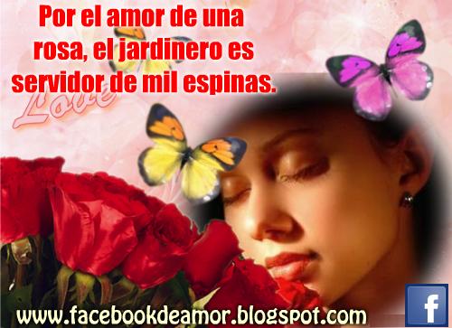 Imagenes De Amor Y Amistad Con Frases Bonitas