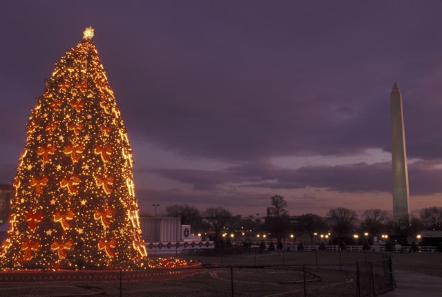 Images Of Christmas Trees