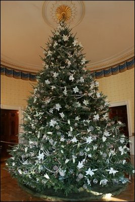 Images Of Christmas Trees