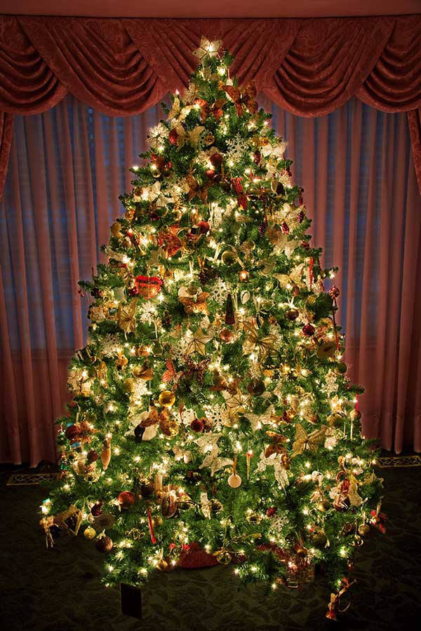 Images Of Christmas Trees