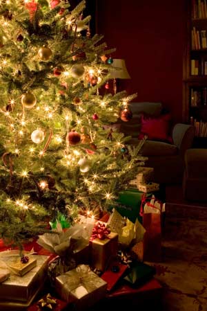 Images Of Christmas Trees