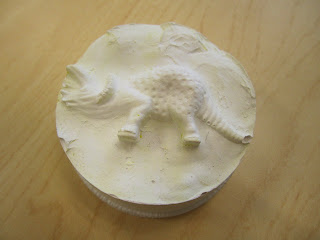 Imprint Fossils For Kids