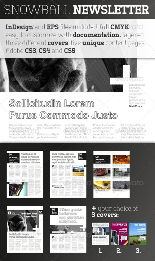 Indesign Newsletter Templates Free Download