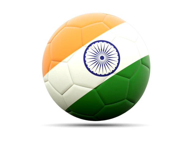 India Flag Icon