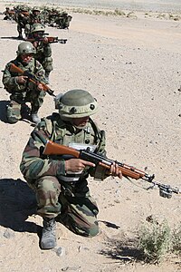 Indian Army Guns List