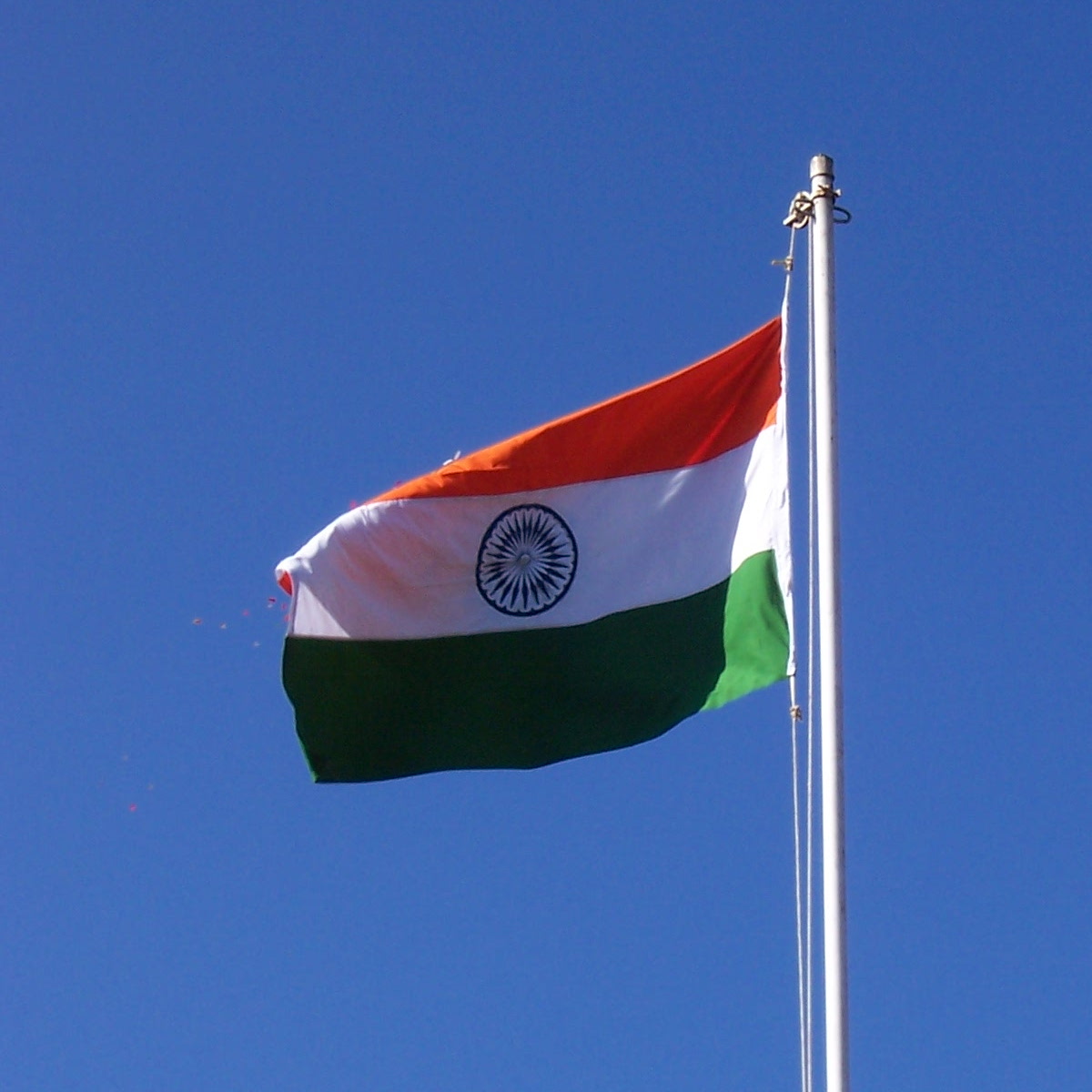 Indian Flag Flying Hd