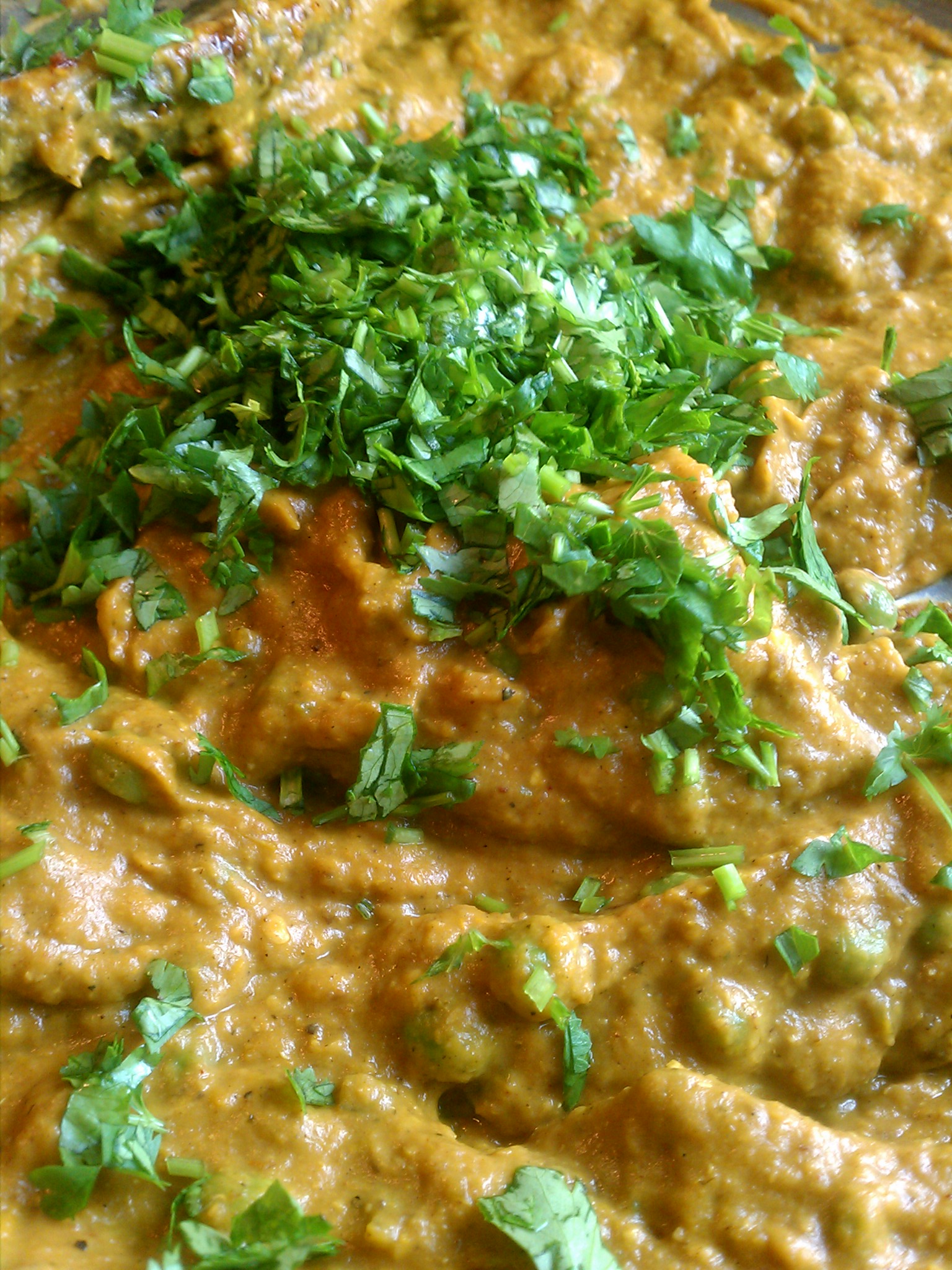 Indian Food Curry Paste