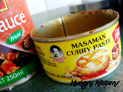 Indian Food Curry Paste