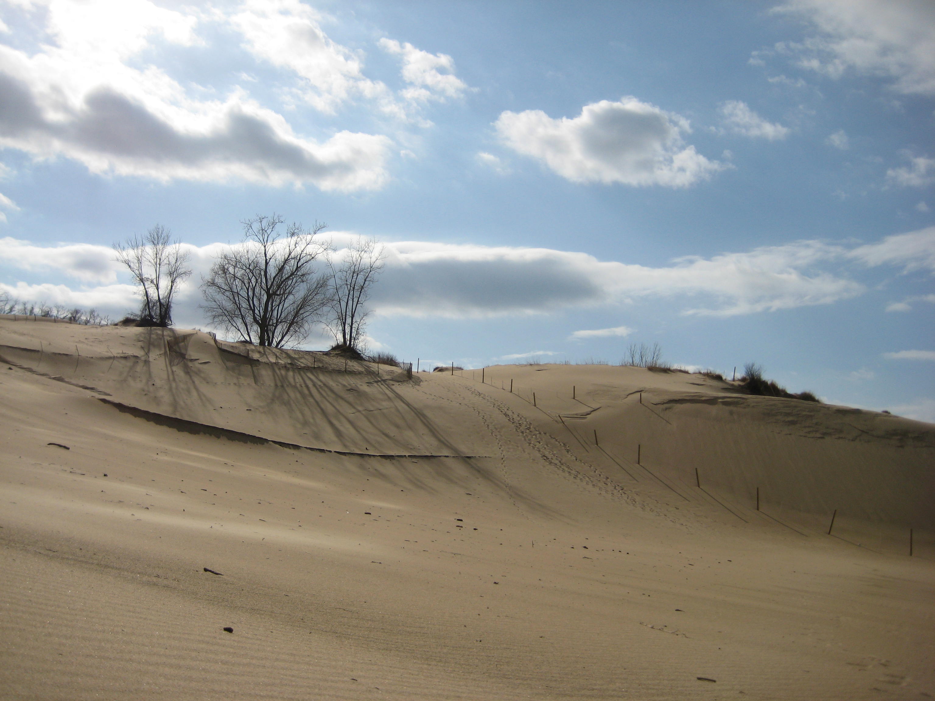 Indiana Dunes Pictures