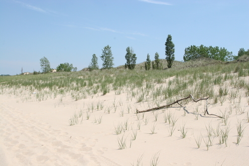 Indiana Dunes Pictures