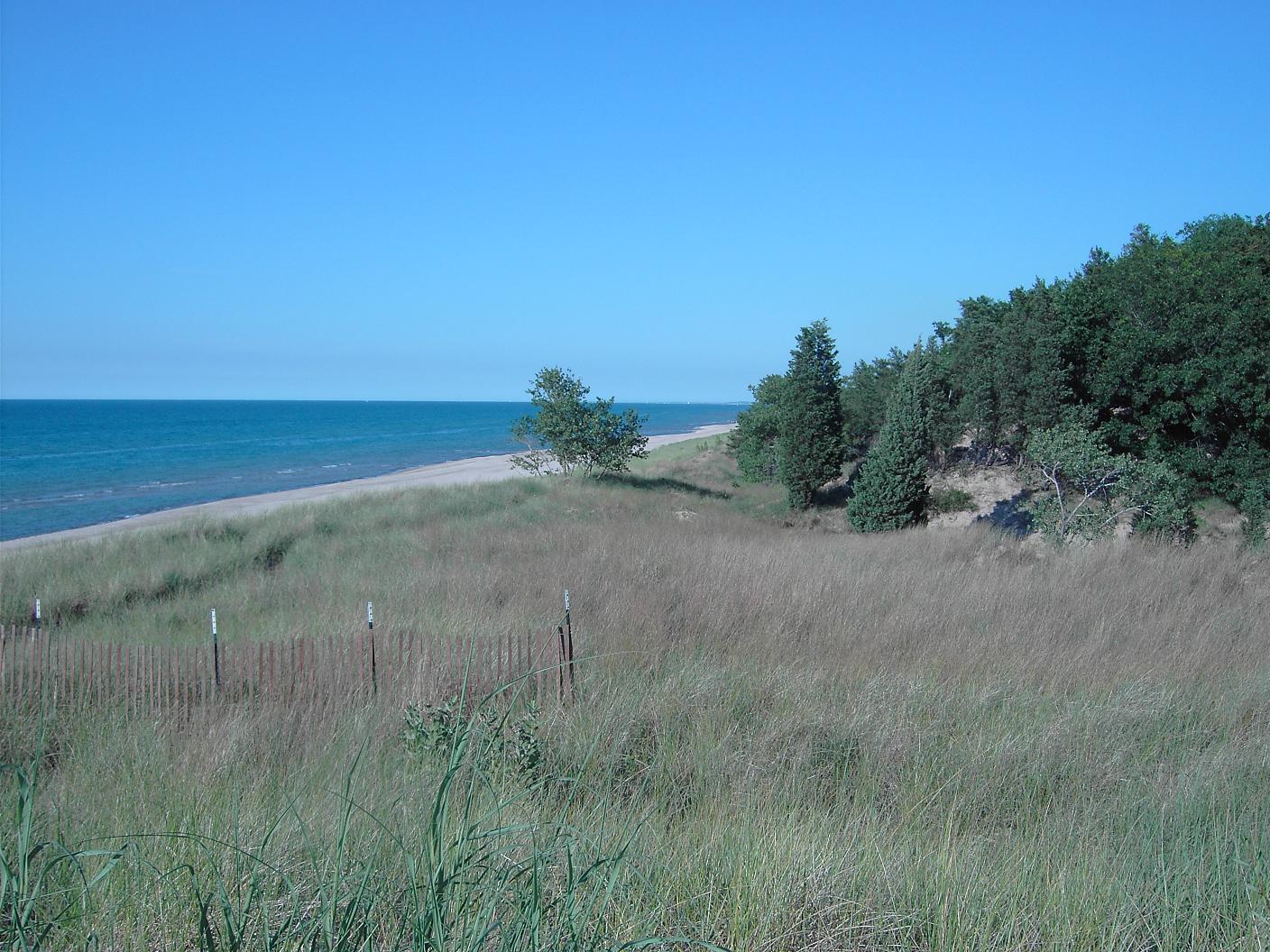 Indiana Dunes Pictures