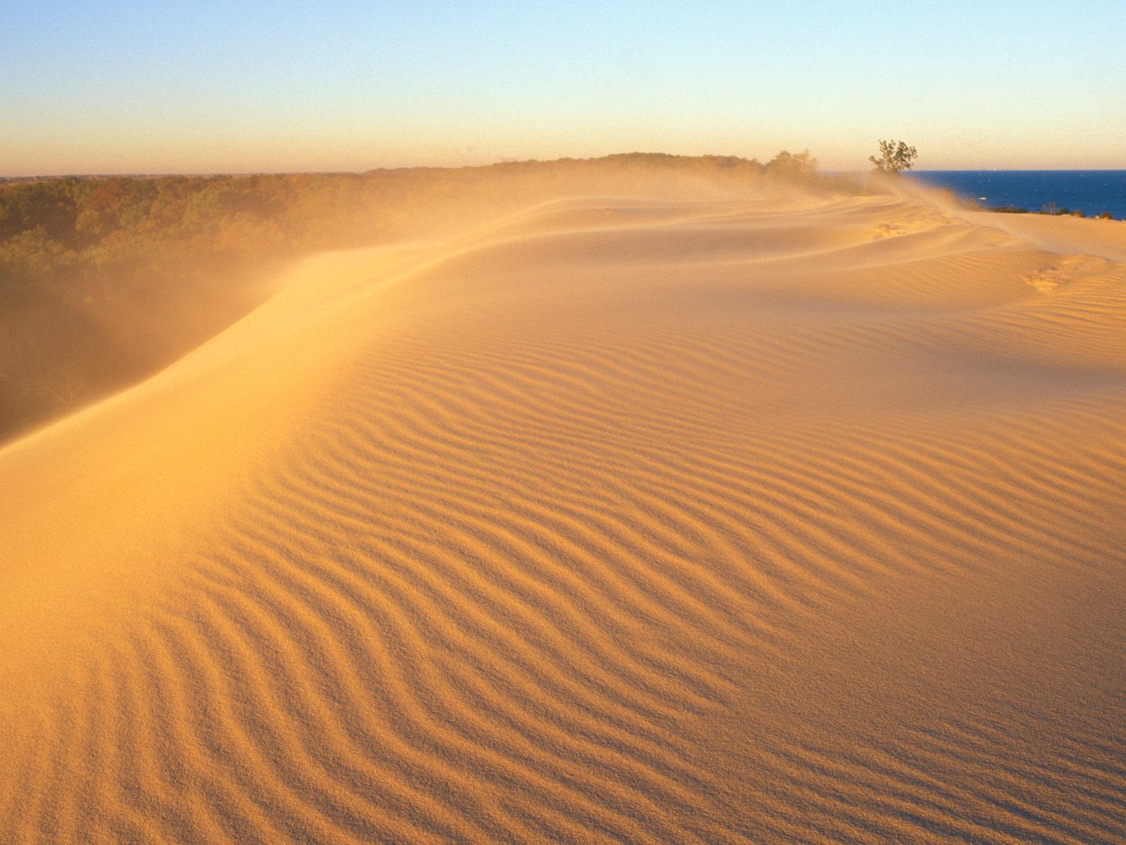 Indiana Dunes Pictures