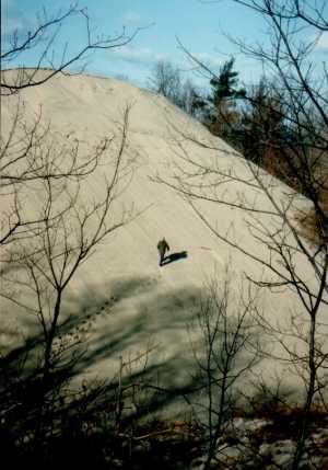 Indiana Dunes Pictures