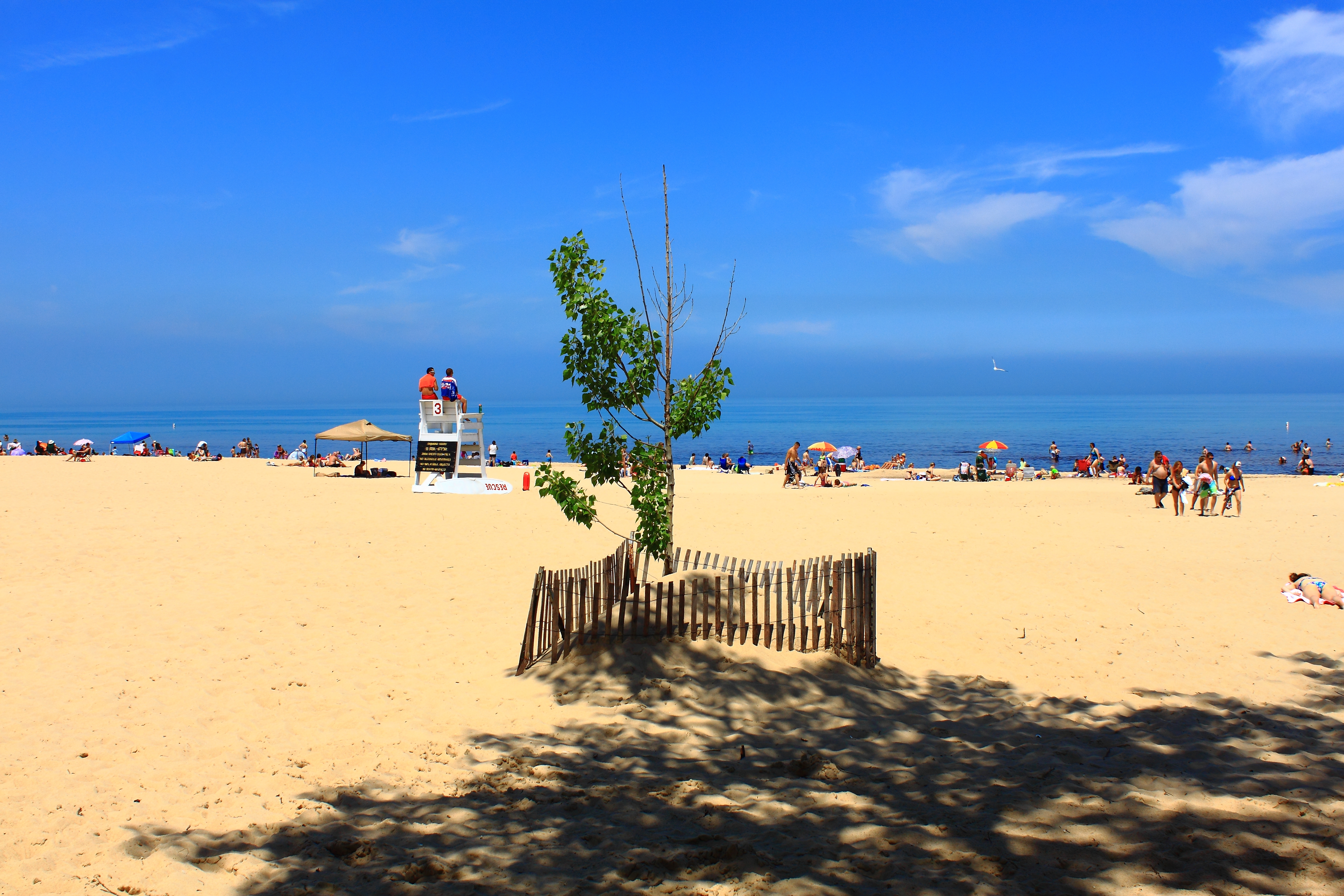 Indiana Dunes Swimming