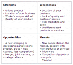 Individual Swot Analysis Examples