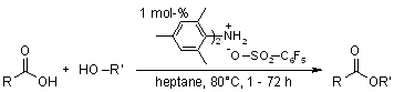 Intramolecular Esterification Mechanism