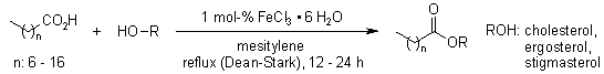 Intramolecular Esterification Mechanism