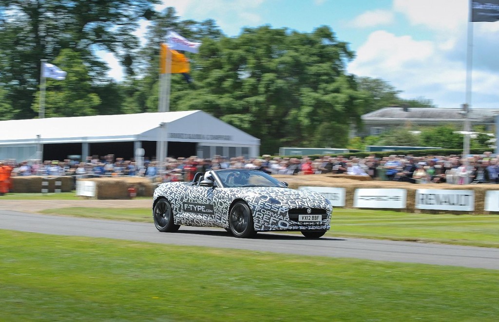 Jaguar Animal Running Speed