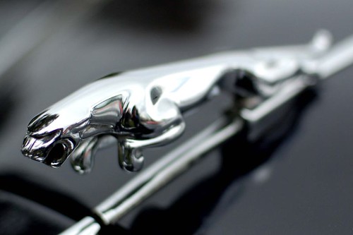 Jaguar Car Logo