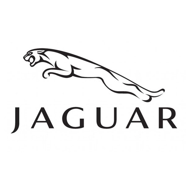 Jaguar Car Logo Change