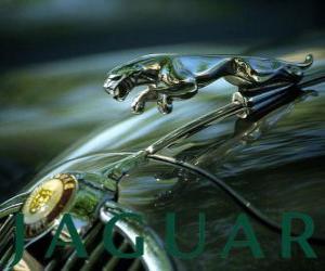 Jaguar Car Logo History