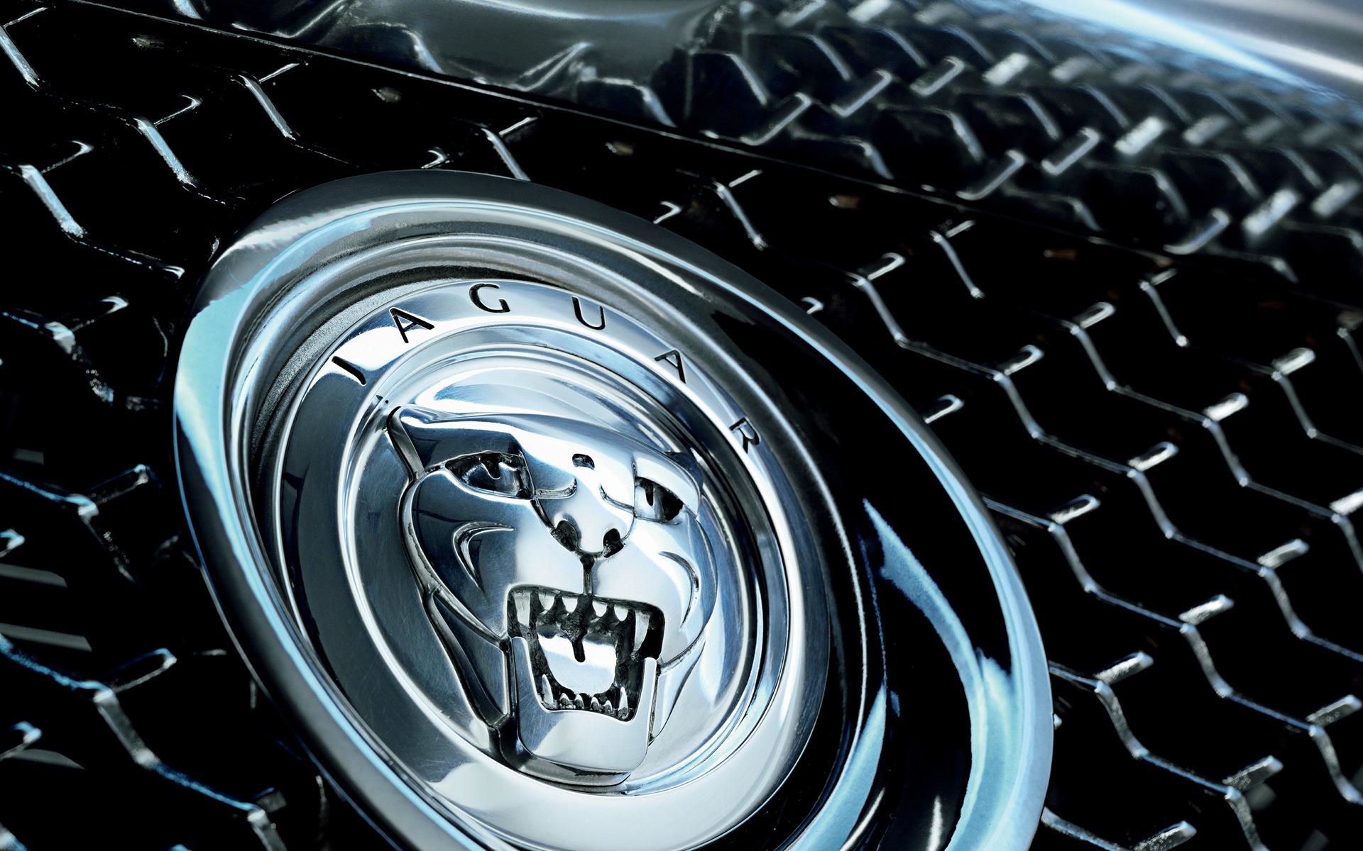 Jaguar Car Logo Wallpaper