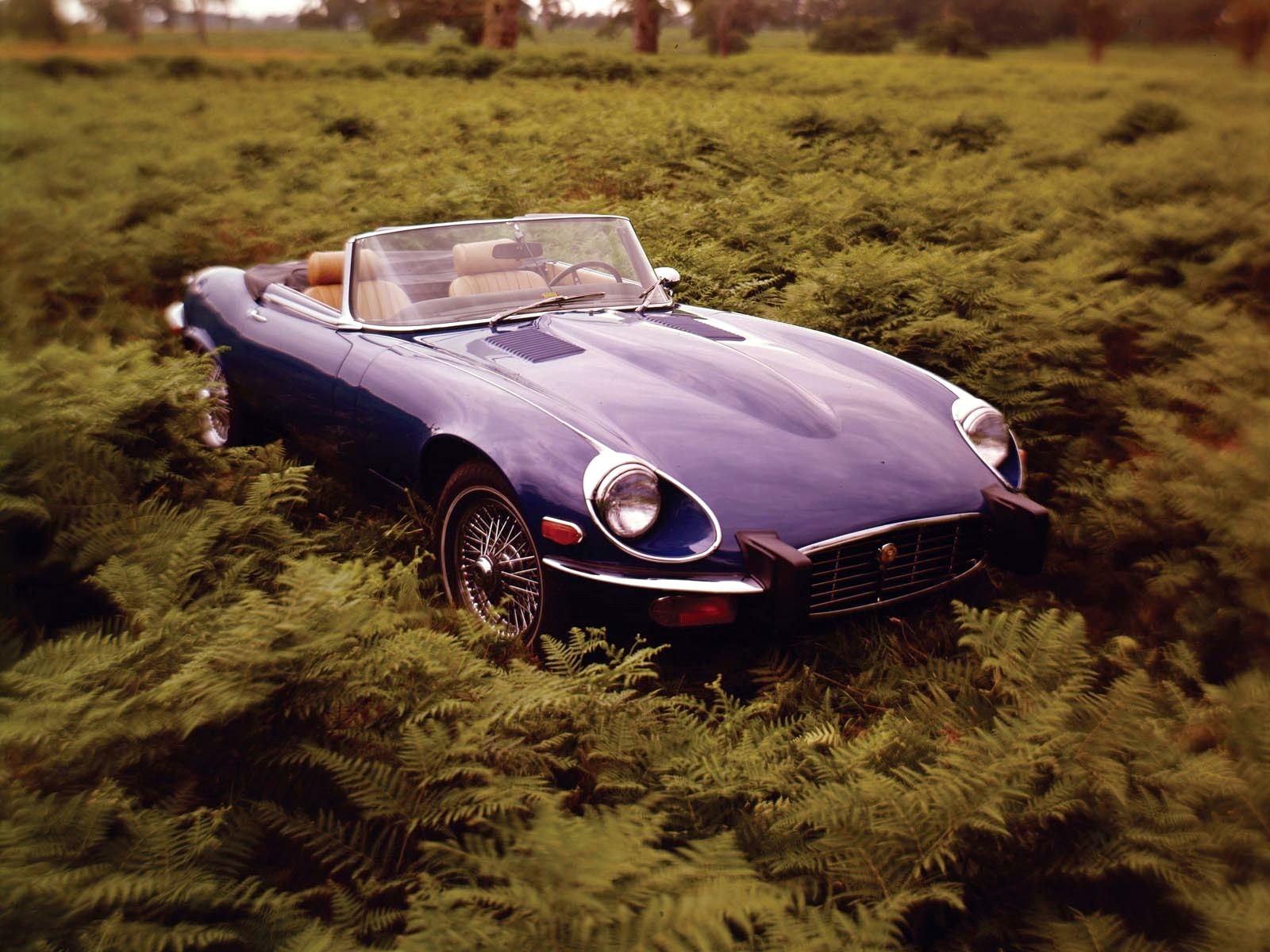 Jaguar E Type V12 Convertible